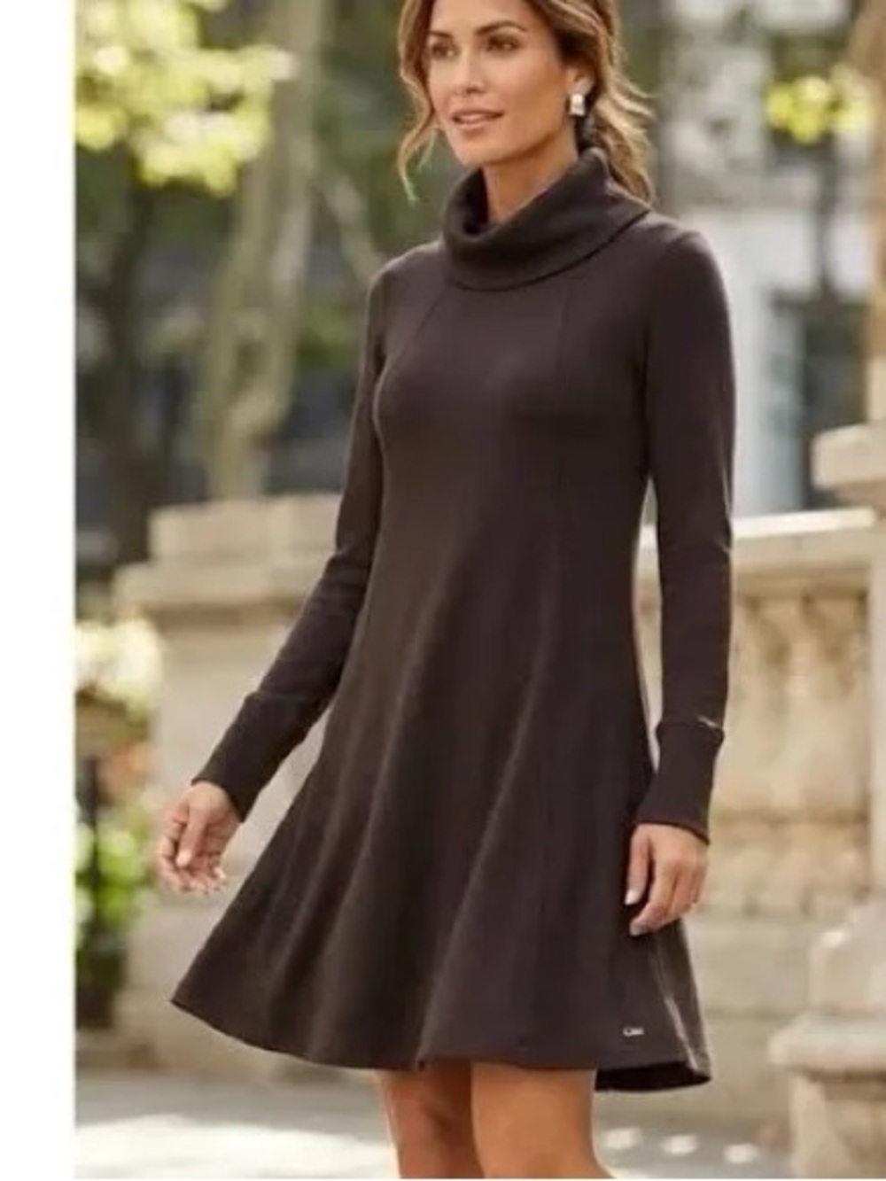 CAbi Chocolate Brown Turtleneck Long-Sleeve A-Line Dress